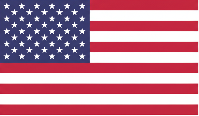 USA icon
